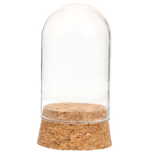 Collectibles display dome - collectibles,